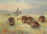 Archibald Thorburn Famous Paintings - A Frosty Dawn